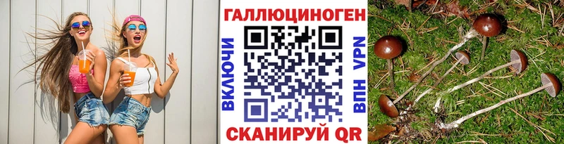 мориарти официальный сайт  где найти наркотики  Чита  Псилоцибиновые грибы прущие грибы  кракен ТОР 