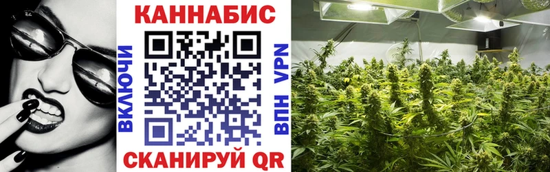 закладки  Чита  Каннабис ГИДРОПОН 