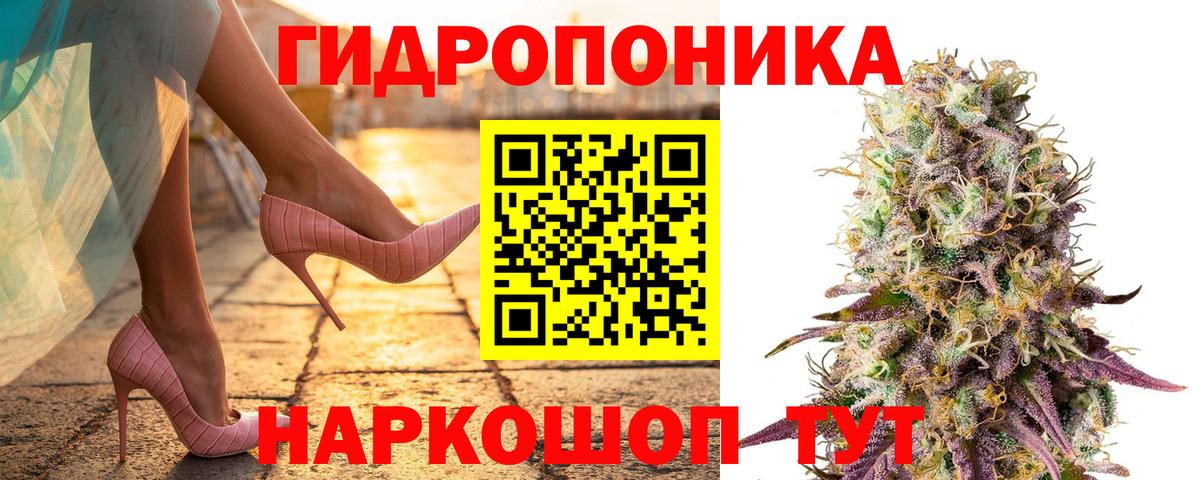 Бошки марихуана LSD WEED  Вход с VPN  Чита  Шишки марихуана марихуана 